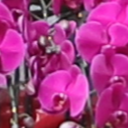 IMG_181_x1.png