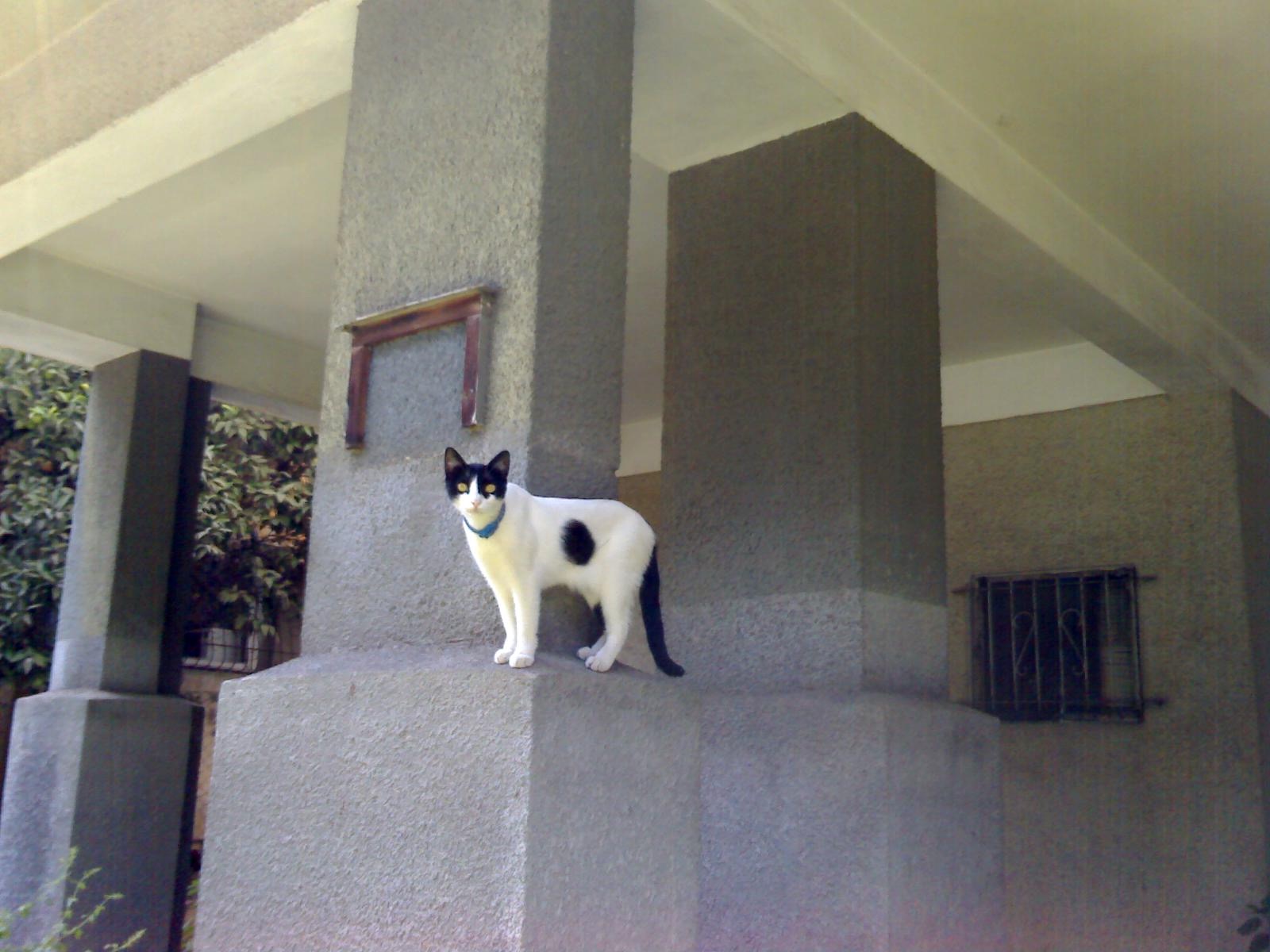 21-09-07_1153.jpeg