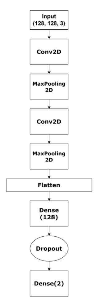 Audio Model Structure