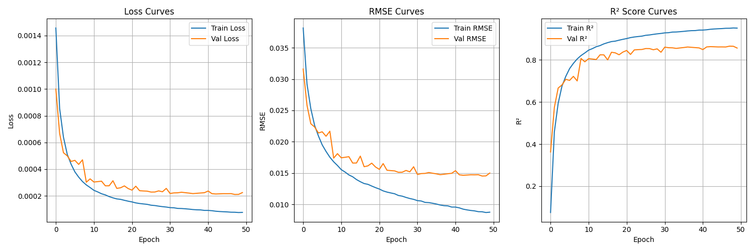 training_curves.png