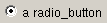 radio_button.png