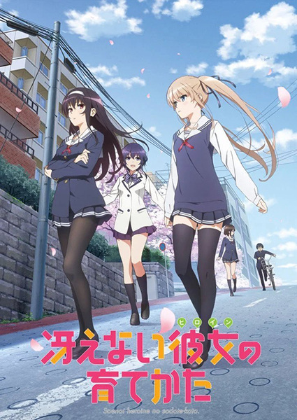 saenaiheroinenosodatekata