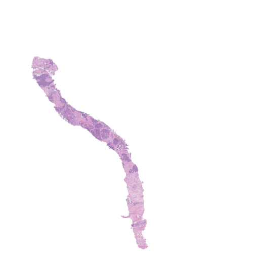 4.jpeg
