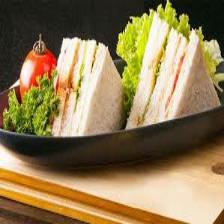Sandwich-Train (1014).jpeg