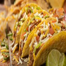 Taco-Train (1106).jpeg