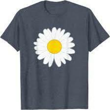 Daisy-Train (1047).jpeg