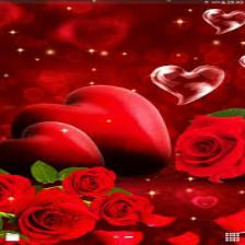 Rose-Train (1181).jpeg