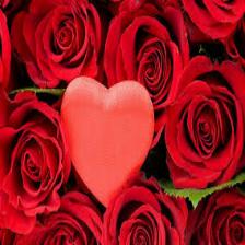 Rose-Train (1239).jpeg