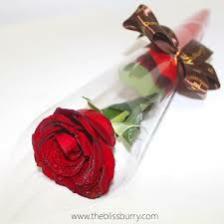 Rose-Train (218).jpeg