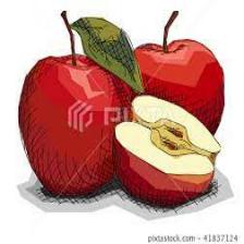 Apple (1278).jpeg