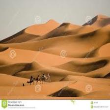 Desert-Train (1010).jpeg