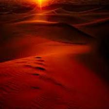 Desert-Train (1124).jpeg