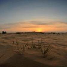 Desert-Train (1254).jpeg