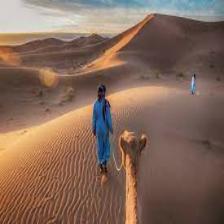 Desert-Train (1835).jpeg