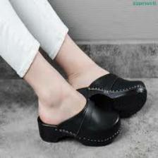 Clog-Train (1129).jpeg