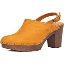 Clog-Train (1379).jpeg