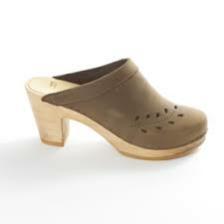 Clog-Train (1718).jpeg