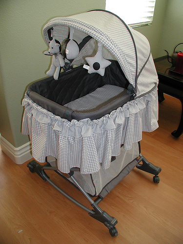 n02804414_bassinet.JPEG