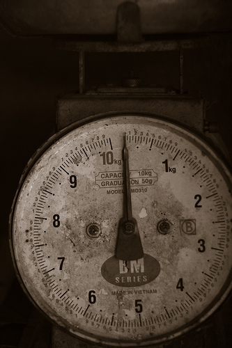 n04141975_scale.JPEG
