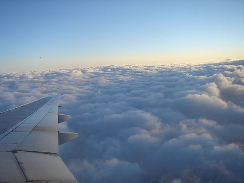 n04592741_wing.JPEG