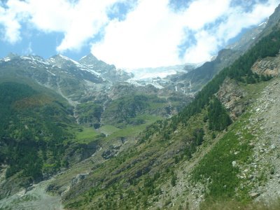 n09193705_alp.JPEG