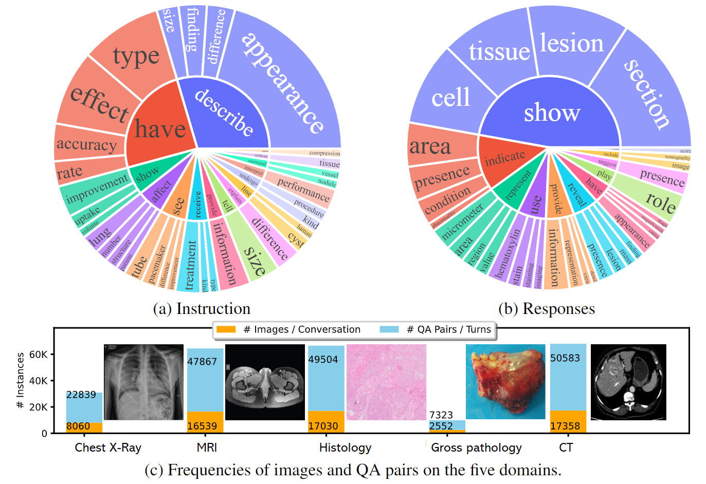 llava_med_dataset.png