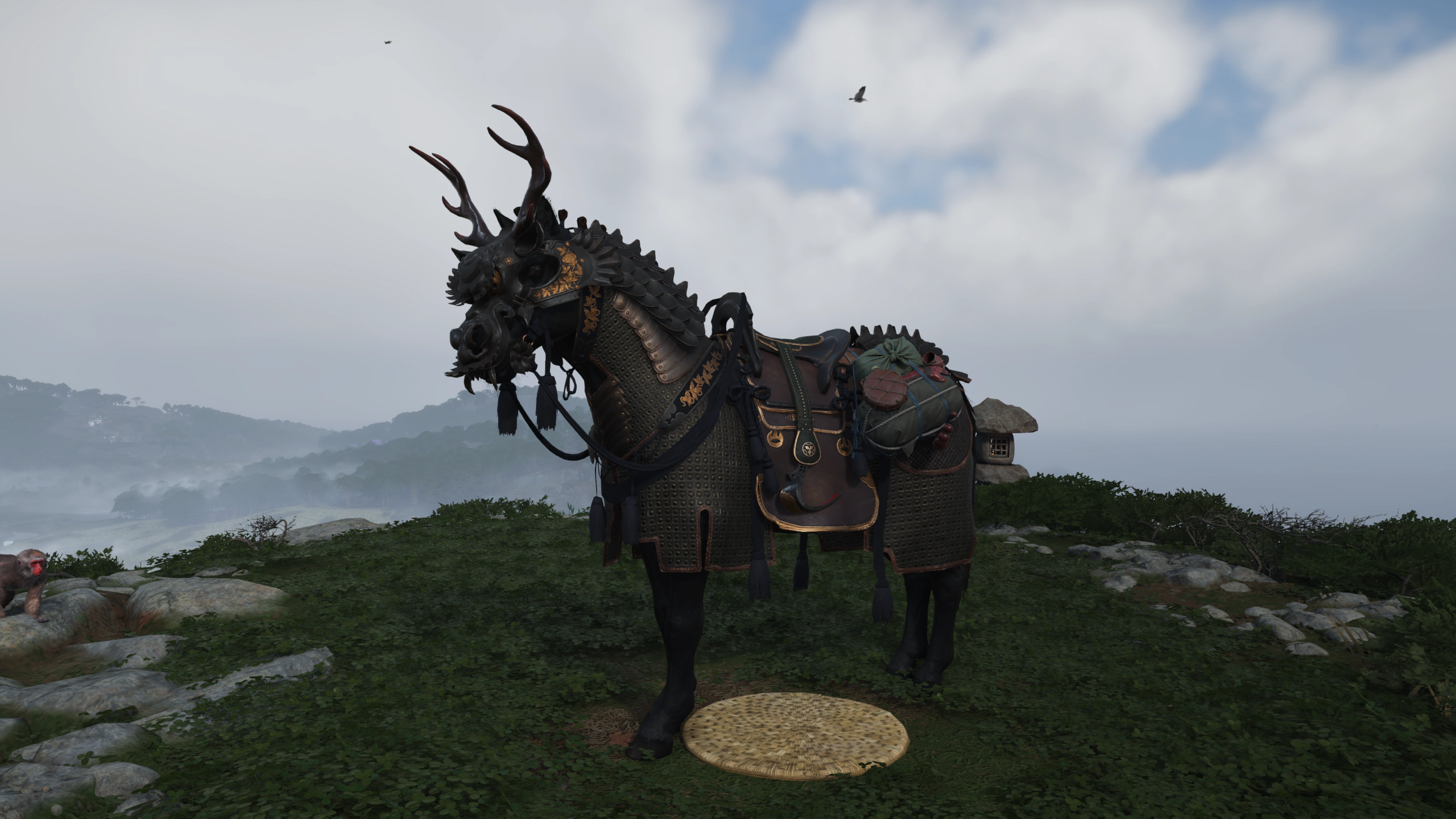horse.webp