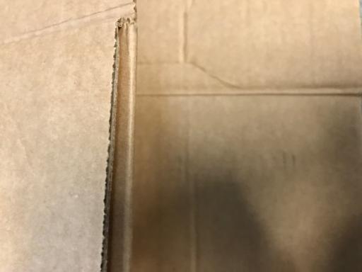 cardboard120.jpg