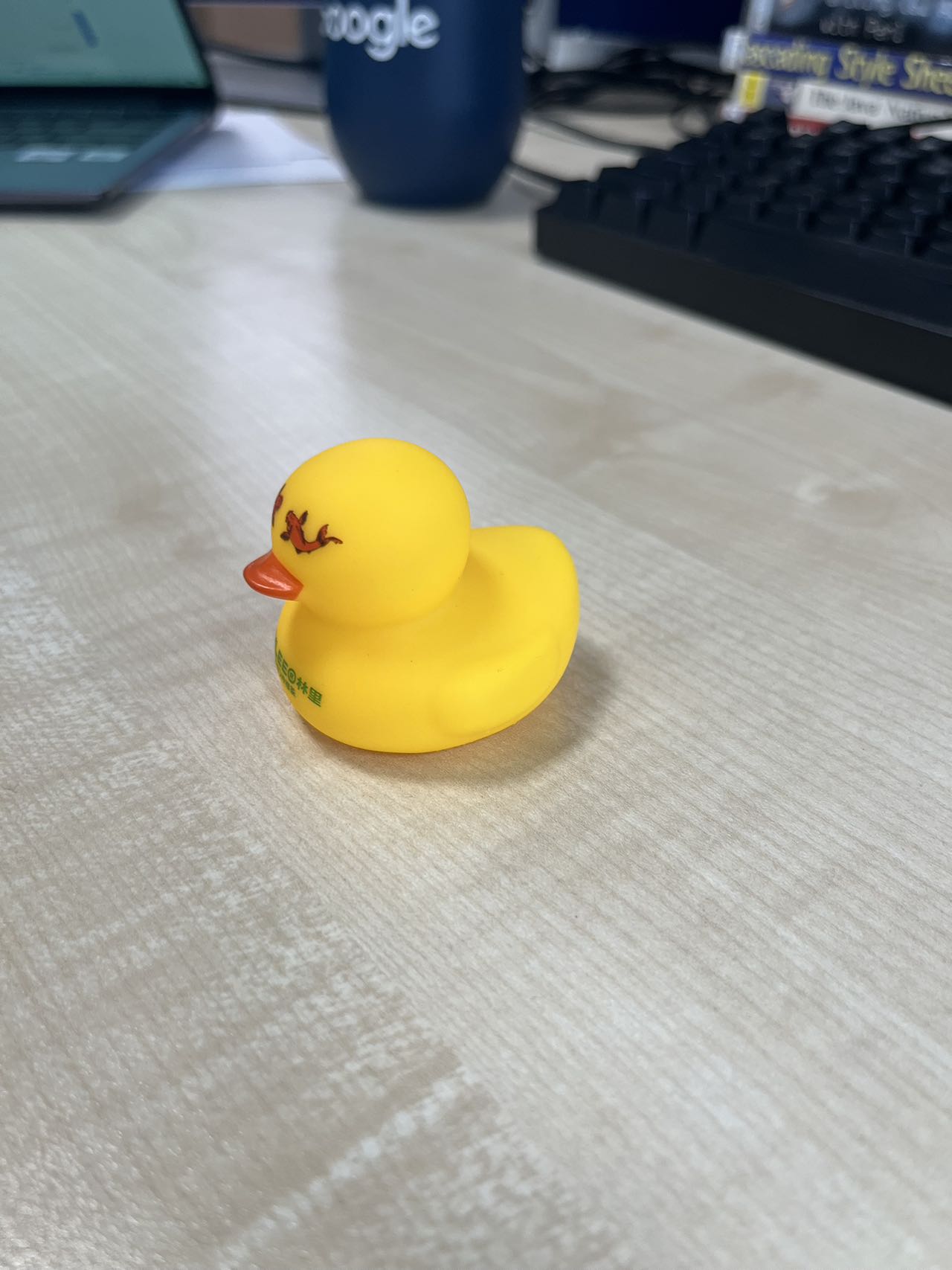 duck2.jpg