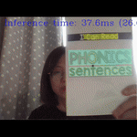 paddle-ocr-webcam.gif