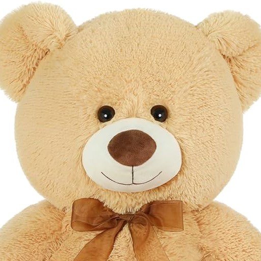 teddy.jpg
