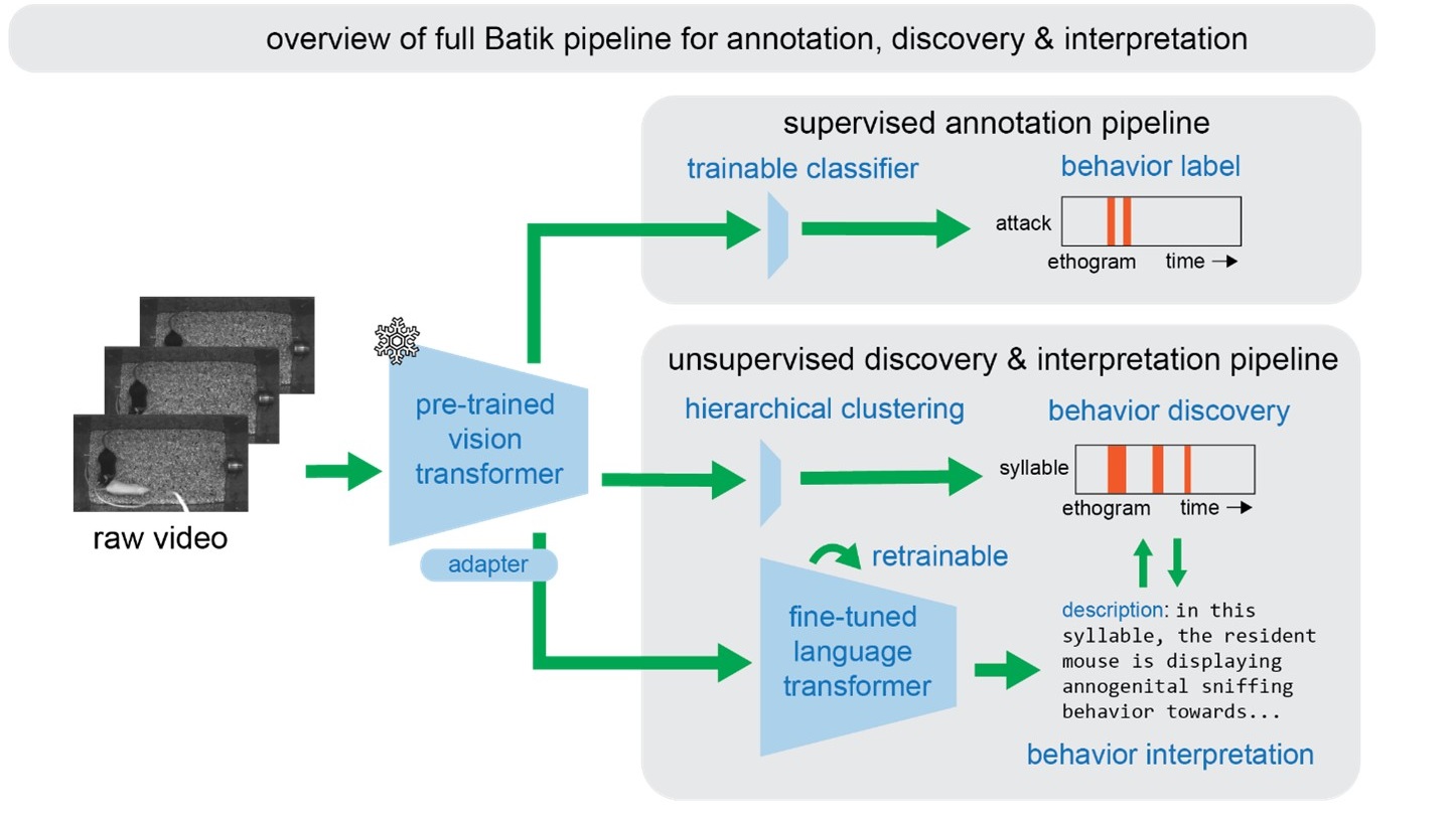 image_batik_pipeline.jpg