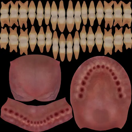 teeth_diffuse.webp