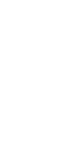 shape-2.png